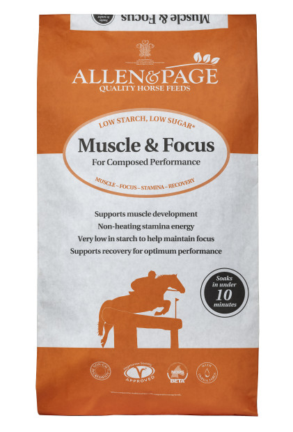 Muscle Focus